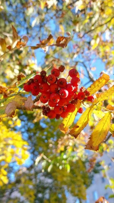 🍁Октябрь в..