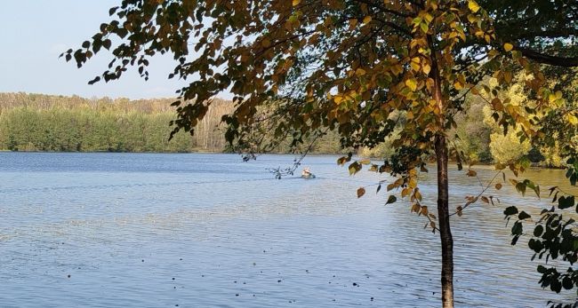 Немного осенней красоты.🍂
Спасибо нашей подписчице за..