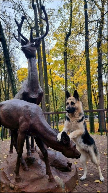 Доброе утро!  Прибился к стае)))  город..