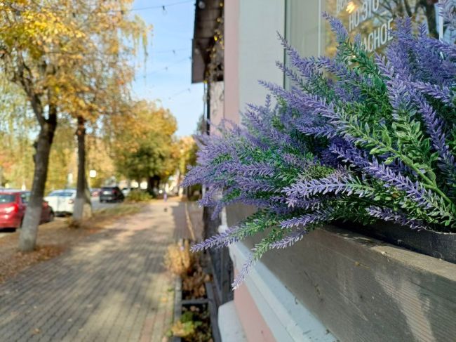 Еще один прекрасный солнечный день.  Ногинск осенью очень..