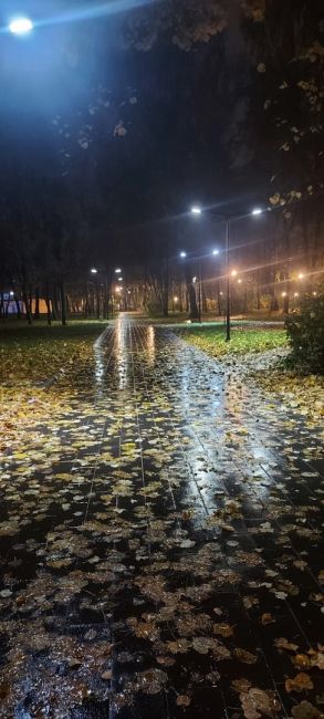 🍂 Осенний вечер в парке.  Качество воздуха в Долгопрудном после пожара. 
По данным с ближайшего поста..