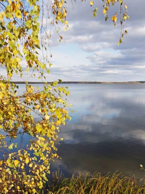 Красивые озёра Подмосковья ❤
Хорошего вечера,..