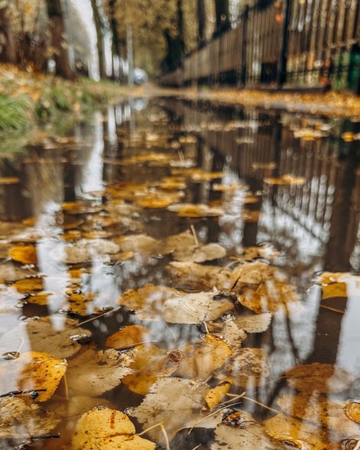 Осень в городе🍁..