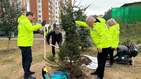 Микрорайон Купелинка — один из самых ухоженных в нашем округе. Вчера у дома № 7, в рамках деятельности МБУ..