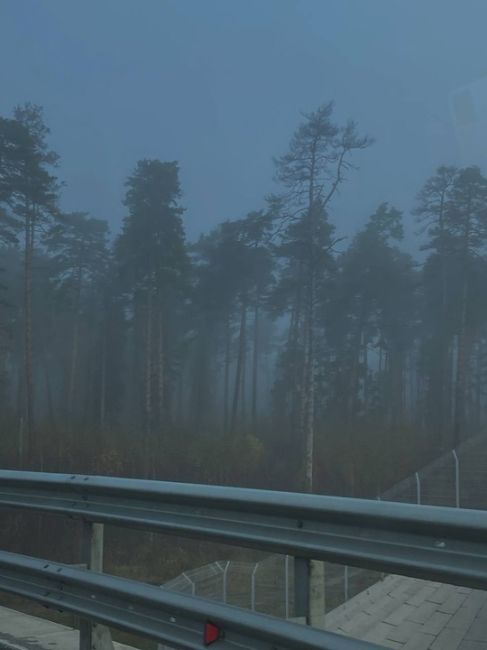 ТУМАННАЯ БАЛАШИХА 🤍🌫️🌲
Фото -..