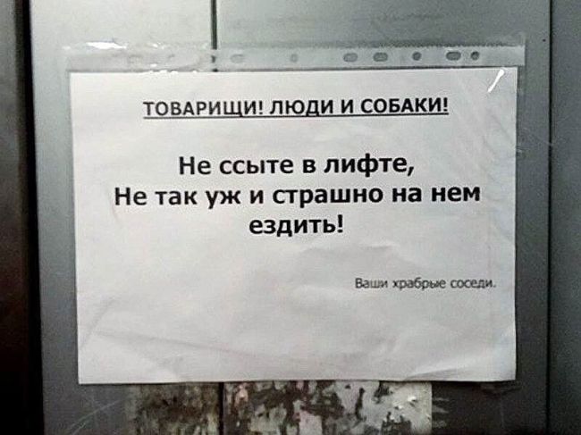 Последняя попытка..