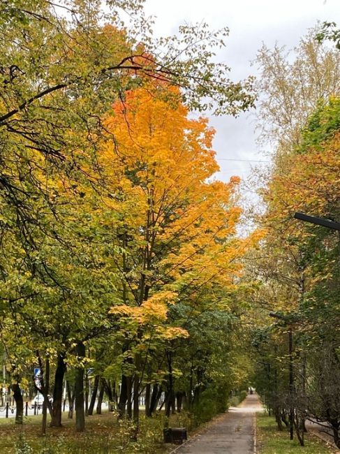 Осень в Долгопрудном - просто сказка ❤️  Ждём Ваши фото в комментариях..