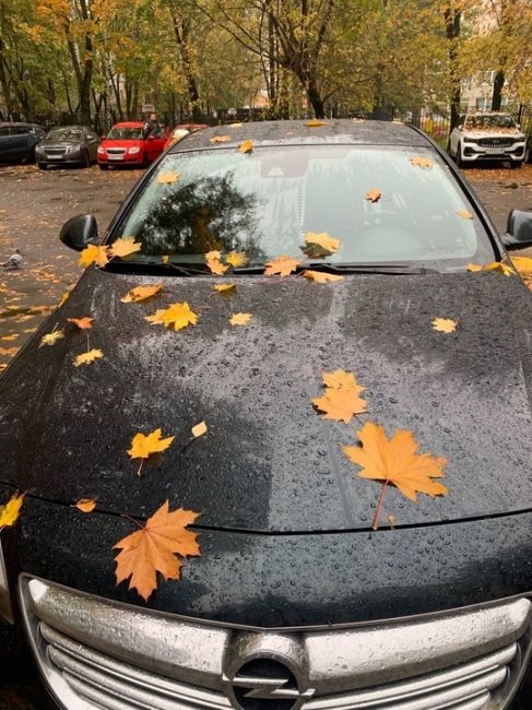 Осень в Железнодорожном 🍂🍁
[id296615005|📸Olga..