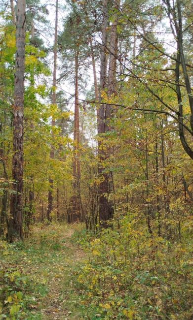 Доброе утро, друзья.
Пора составлять планы на..