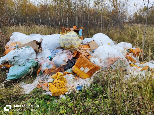 От подписчика:
_____________
Был вчера на рыбалке на Восточном Бурцевском пруду. При виде такого сказать, что я в..