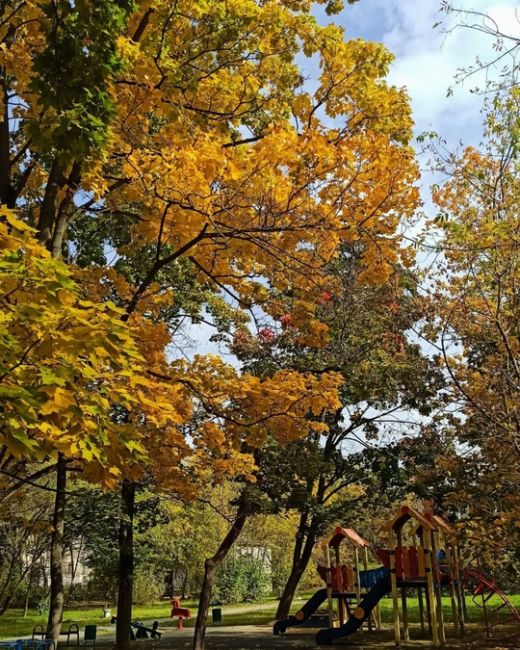 🍁 НАША БАЛАШИХА 🍂 
📸Марина..