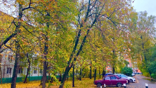 Город Железнодорожный.Осень.
📸Ярослав..