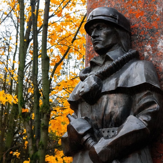 Доброго осеннего утра и пасмурных Химок всем в ленту 🍂  Фото - ShiroKopeyka..