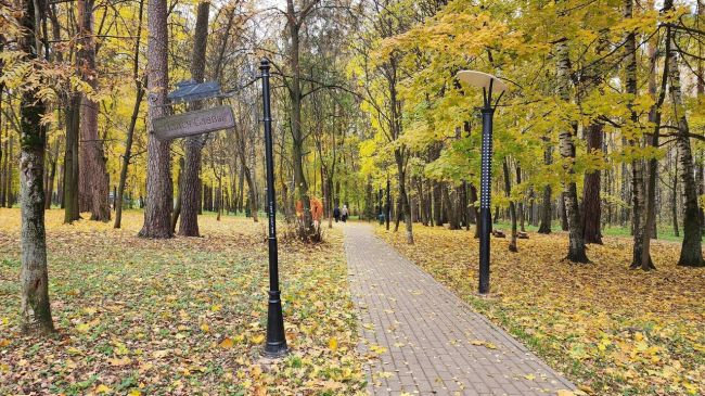 Парк приглашает на прогулку, можно даже на велосипеде😎  «У нас две велодорожки: это большой круг и малый. Их..