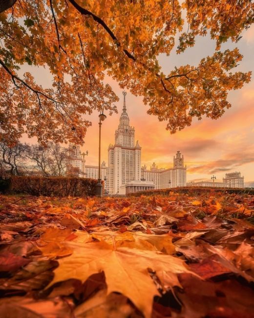 МГУ имени М.В.Ломоносова окутан осенью.  Фото:..