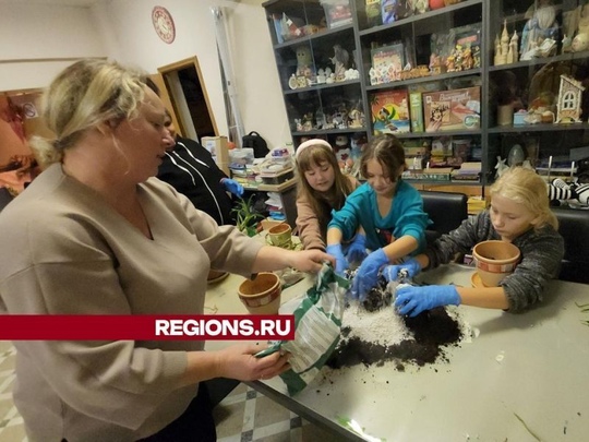 На западе Пушкино организуют бесплатные уроки для учащихся.  На улице Маяковского в Пушкино состоялся..