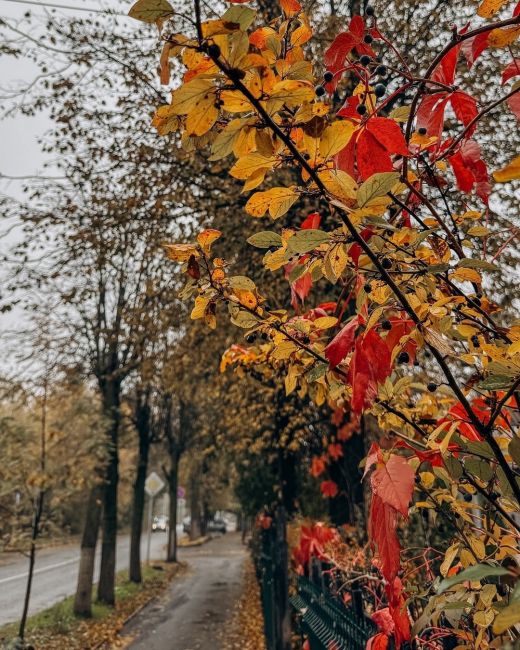 Осень в городе🍁..