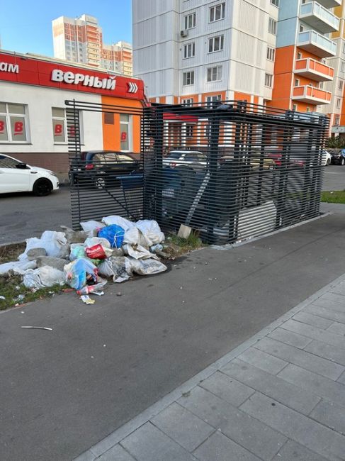 Вот такой кадр (достаточно продолжительное время) можно заметить, проходя по Борисовке 28 возле магазина..