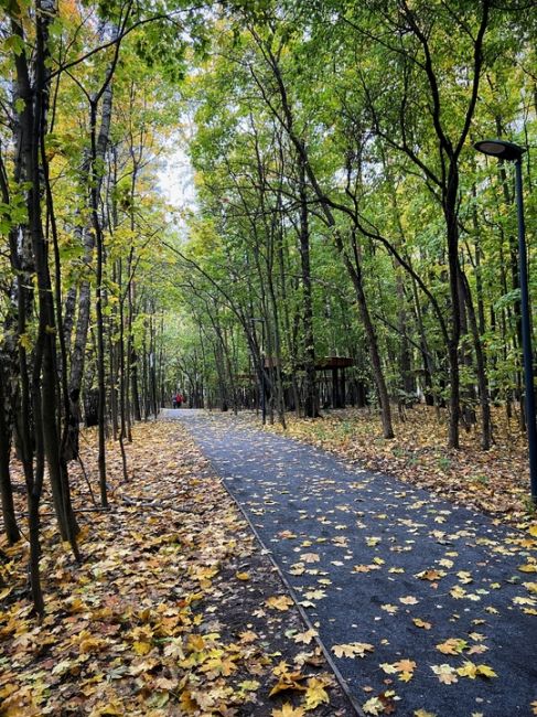 Осенний парк "Пехорка"..