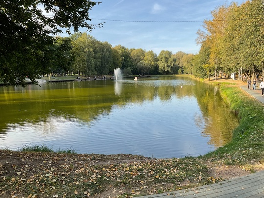 🍃Яркие осенние оттенки в красногорском городском парке.  📸Автор фото: Вячеслав..