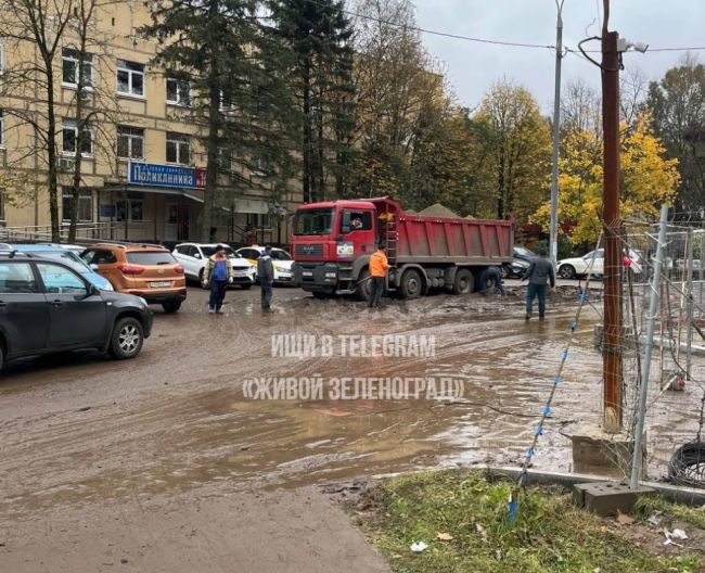 🏥Детская поликлиника № 105 в шестом районе, поскольку наша поликлиника № 2 находится на ремонте. Детей..