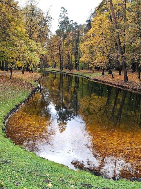 🍃Яркие осенние оттенки в красногорском городском парке.  📸Автор фото: Вячеслав..