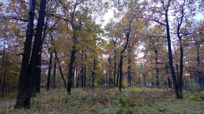 Еще немного прекрасных воскресных видов..