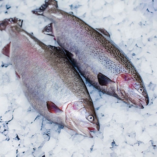 🐟Икорная форель 
напрямую из Карелии 
Охлажденная / потрашенная 
Первой свежести 
🔴Икорная 80% 
⚖Вес: от 2.5..