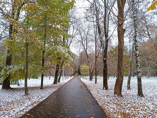 🌨❄ Мокрый снег ожидается сегодня в Подмосковье  Сегодня метеорологи прогнозируют первый осенний снег в..