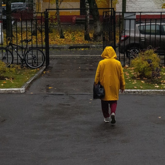 Доброго осеннего утра и пасмурных Химок всем в ленту 🍂  Фото - ShiroKopeyka..