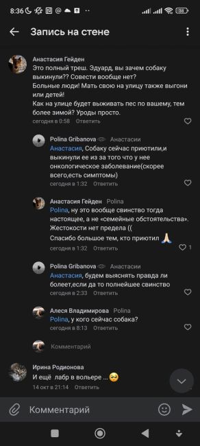 Собачка потерялась или выбросили, был на районе северной, мальчик с..