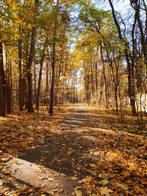 🍁Осень в..