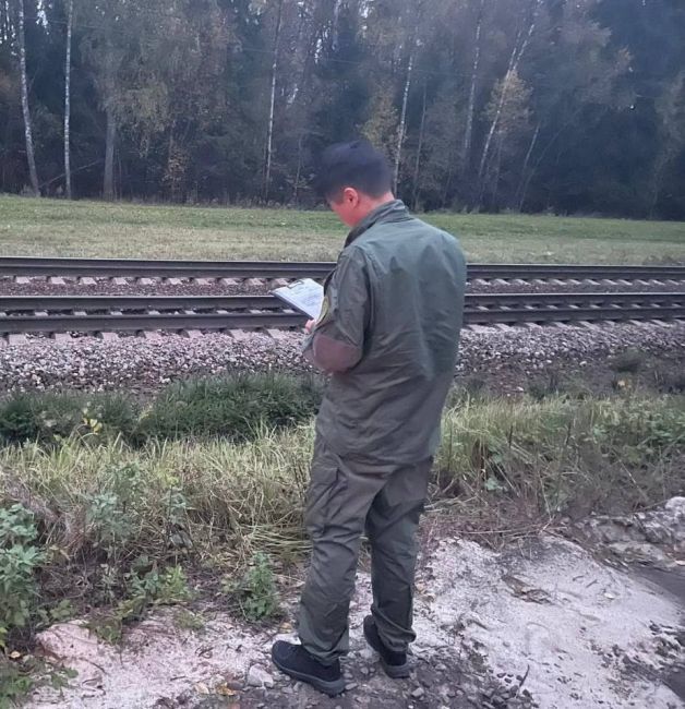 🍏 Зацепер погиб от удара током в подмосковном Фрязево  По факту смертельного травмирования подростка 2012..