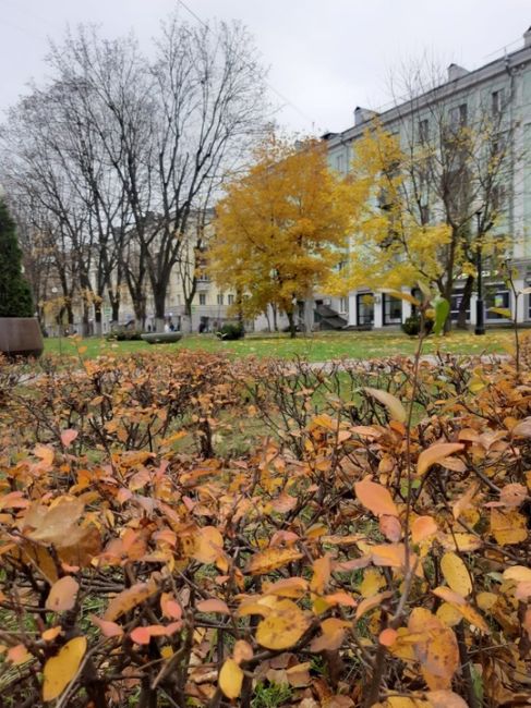 ОСЕННИЙ ДЕНЬ 🍁 В..