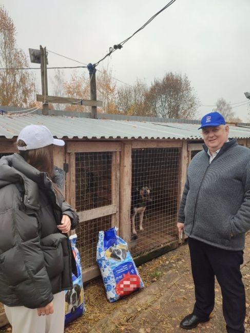 ⚡⚡⚡ Приют для животных может появиться в городском округе Коломна 
Заместитель главы городского округа..