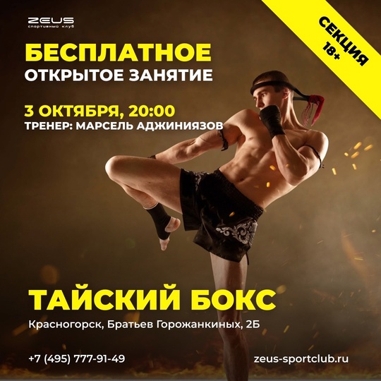 ⚡️БЕСПЛАТНЫЕ открытые занятия для детей и взрослых в [club185758153|ЗЕВС | КРАСНОГОРСК]  💪 Более 50..