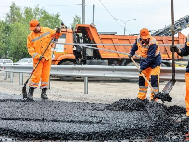 Участок дороги М-8 «Холмогоры» будет капитально отремонтирован в следующем году.  В Пушкинском районе ищут..