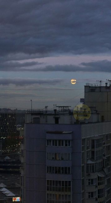 🌕 Полная Луна появилась в небе над Химками  Сегодняшнее полнолуние совпало с перигеем, когда спутник Земли..