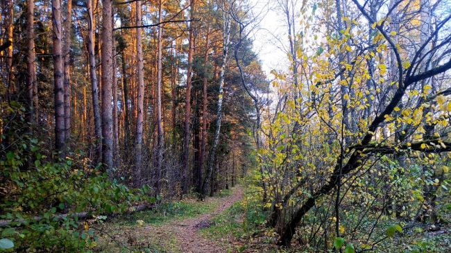 Еще немного прекрасных воскресных видов..