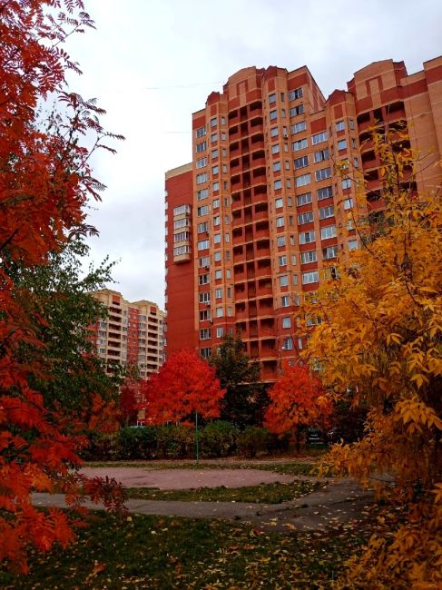 Доброе утро🍂  Как вам начало..