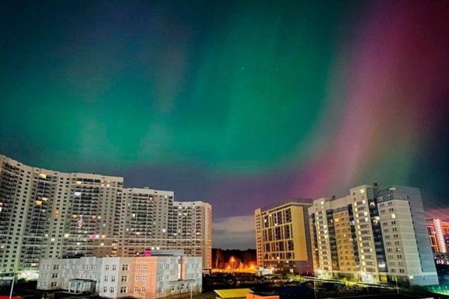 ✨Жители Москвы и области смогут увидеть северное сияние в ночь на воскресенье.  Как сообщают синоптики, в..