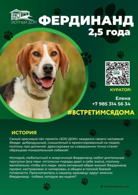 Реабилитационный центр Зоодом!  ⚡⚡⚡  Ну что, друзья?! Мы вновь с приглашением встретиться с нами и нашими..