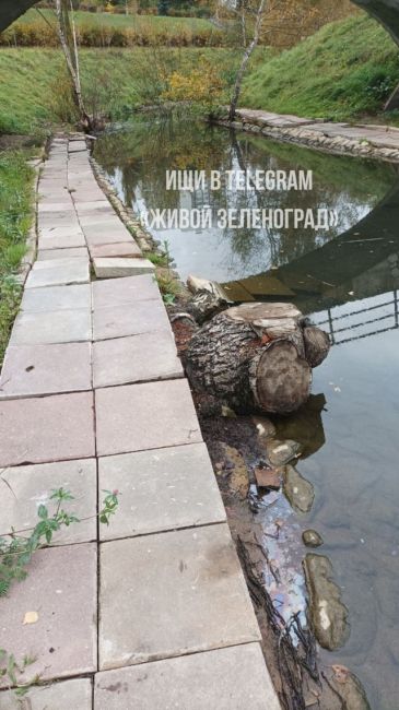 🛠В овраге возле реки Каменка, в районе 16-го микрорайона, проведена уборка и уложены плиты.  ТГК Живой..