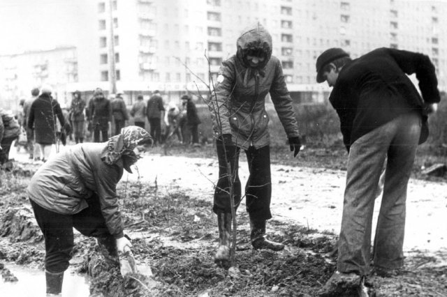 При входе в Центральный парк со стороны ул.Лаврентьева стоит памятный камень, который был установлен у Аллеи..