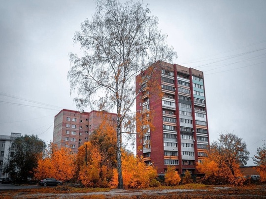 Осень в городе 🍂  📸Михаил..