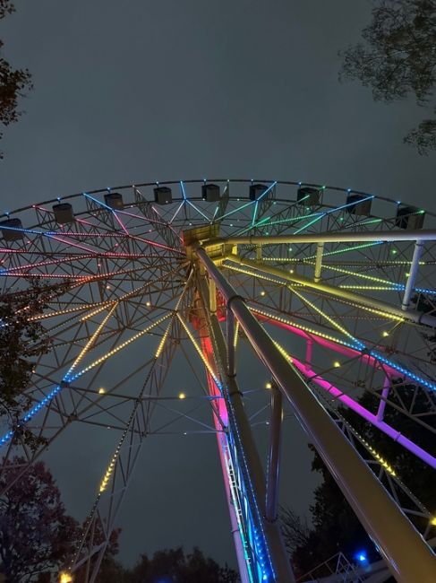 Колесо обозрения в парке Толстого будет работать и зимой 🎡  Кабинки оснащены системой климат-контроля,..