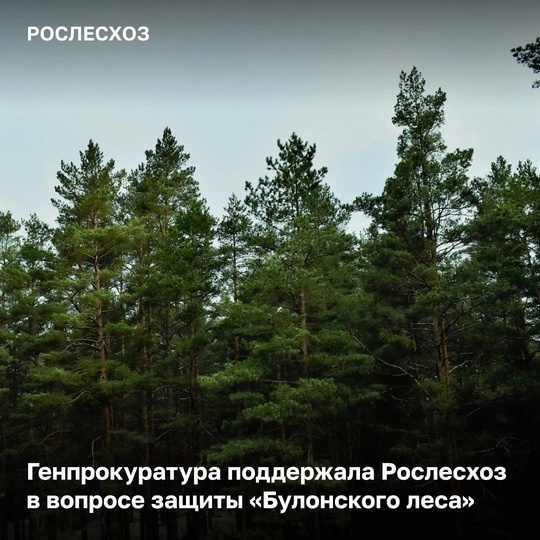 Обращение в ГСУ СК( *присвоен номер обращения ):  Мы, жители Раменского городского округа, требуем остановить..