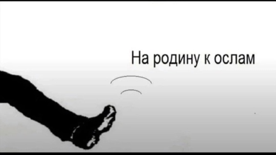 Павлино. Ценник в придорожной шаурмячной🫣 Уж лучше бы вообще ничего не писали, чем вот..