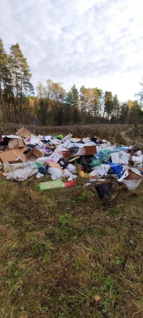 🗑️ Рядом с деревней Бузланово обнаружены навалы мусора  Вчерашняя прогулка по лесу подписчиков из..