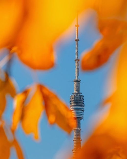 🍂ВДНХ в осенних красках.  Фото:..